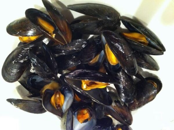 Mosselen Bodemcultuur "GOUDMERK" per 500g.