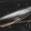 Gerookte zalm "nuri - wasabi" - Afbeelding 2