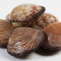 AMANDES /KG